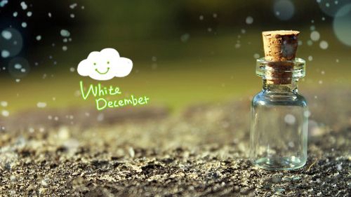 熱情恰恰