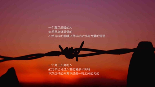 燕子廣場(chǎng)舞32步蕎麥花
