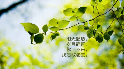 熱情似火