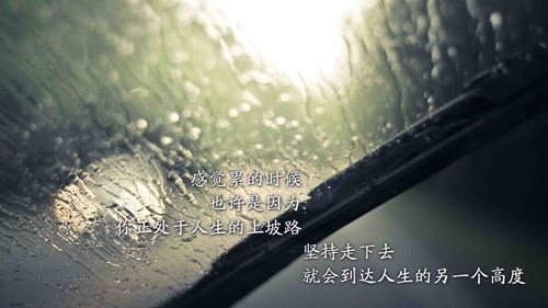 佳木斯廣場(chǎng)舞第二套下載