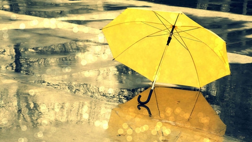 廣場(chǎng)舞燕子廣場(chǎng)舞情人雨