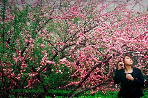 花家湖芳兒