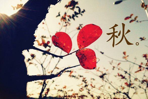 廣場(chǎng)舞恰恰16步基本動(dòng)作