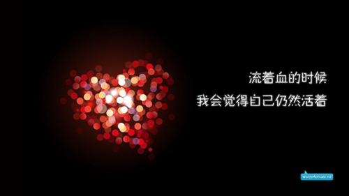武漢周舟