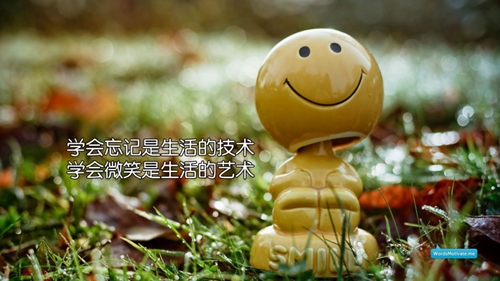 新泰金金