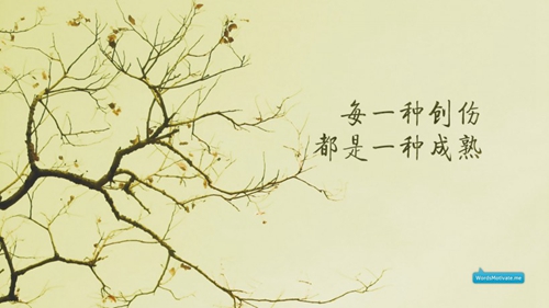 廣場(chǎng)舞小目標恰恰舞