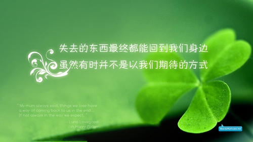 織金洞剛剛