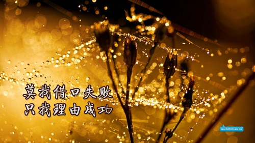免費下載mp3廣場(chǎng)舞天生一對