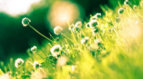 秋風(fēng)帶走我的愛(ài)糖豆廣場(chǎng)舞