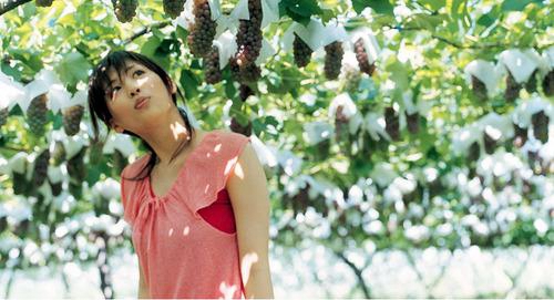 桃花情萬(wàn)安濱江廣場(chǎng)舞十六步
