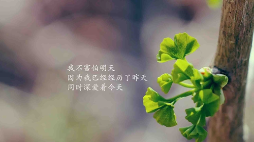 五眼橋開(kāi)心