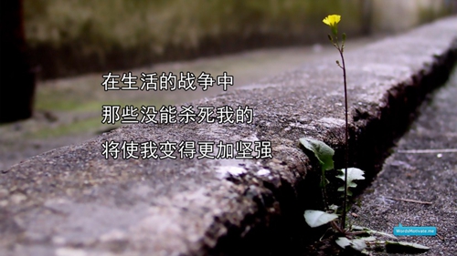 佳木斯廣場(chǎng)舞健身第8套