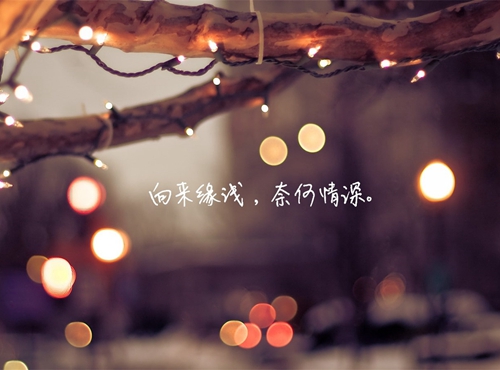 云裳廣場(chǎng)舞最美的牧羊姑糧