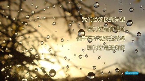 廣場(chǎng)舞陪你一起看草原教學(xué)版劉榮