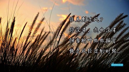 楊麗萍雙人十六步廣場(chǎng)舞