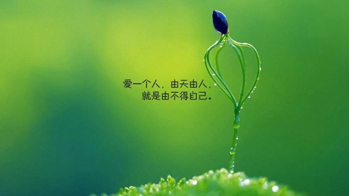 云裳廣場(chǎng)舞十年前恭喜發(fā)財