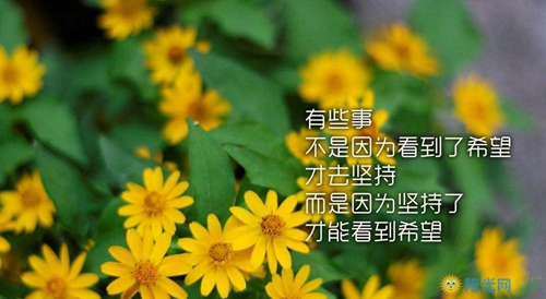 天津春風(fēng)舞蹈隊