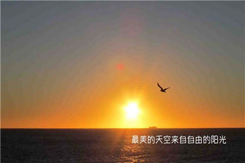 小小悅