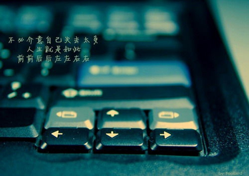舞動(dòng)青春燕子廣場(chǎng)舞我為你唱情歌