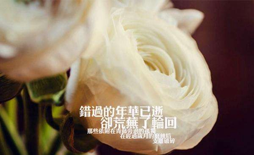 西巖