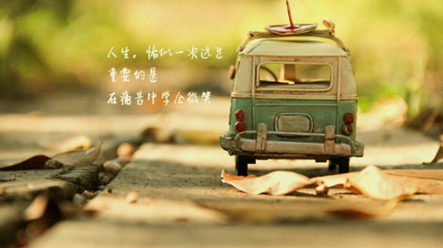 回味經(jīng)典廣場(chǎng)舞背面教學(xué)