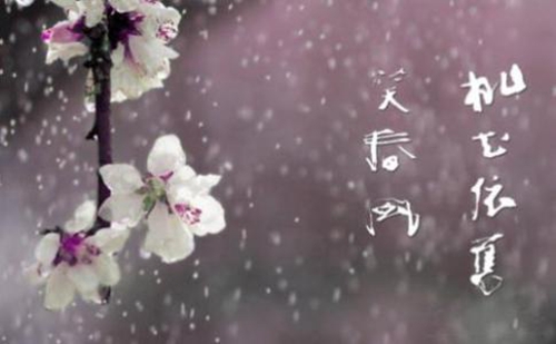 小蘋(píng)果茉莉廣場(chǎng)舞背面