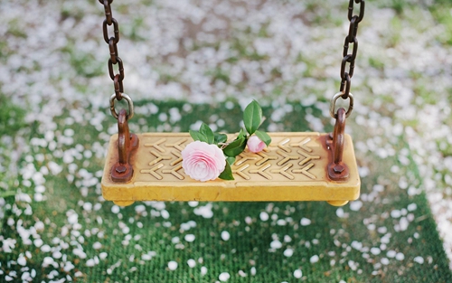 舊夢(mèng)一場(chǎng)廣場(chǎng)舞燕子