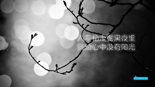 廣場(chǎng)舞離別兩依依舞曲下載