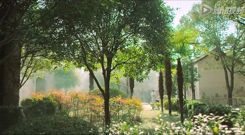 親親茉莉花金曲廣場(chǎng)舞