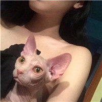華為用戶(hù)個(gè)性頭像11