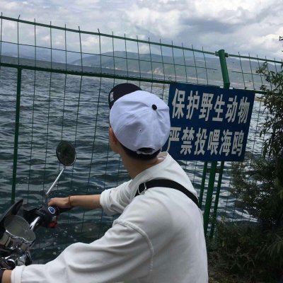 豬頭頭像圖片大全 卡通圖片6