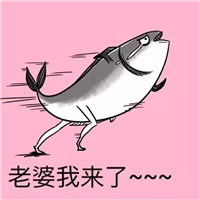 小仙女頭像兔子1