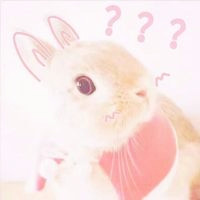 推薦姐妹頭像8 推薦姐妹頭像8