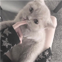 女生拿酒瓶傷感頭像10