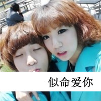 小仙女頭像兔子8