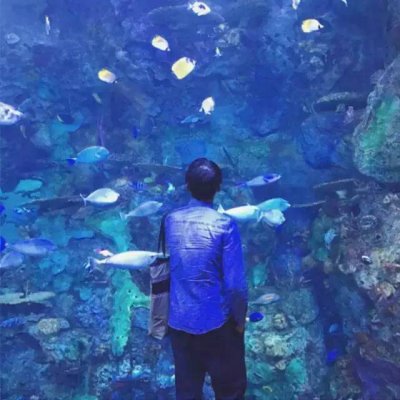 冷庫霸氣頭像6