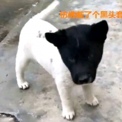 好看頭像男生騎馬3