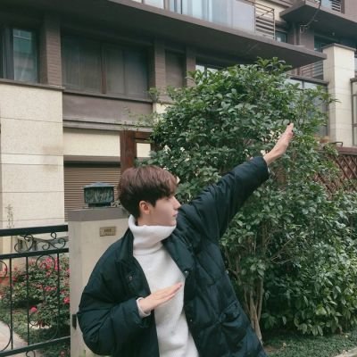 豬頭頭像圖片大全 卡通圖片5