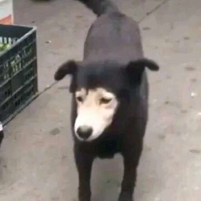 愿你們灰色的頭像背后是精彩的人生10