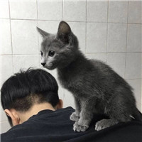 黑色的殘酷女生頭像8