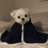 女生背影手繪頭像唯美7