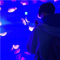 名稱(chēng)叫燕子什么樣的頭像好看13